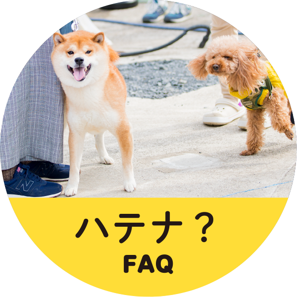 メニュー画像-faq